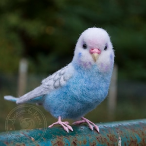 Budgerigar Blue Parrot Feltid Realistic Bird Needle Felting Sculpture Parrot Wall Decor by LISaFeltStories