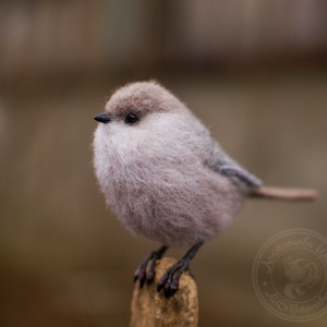 Needl Felting Bird Bushtit Felted Figurine Little Bird Animal Decor Gift Love Bird Realistic Bird