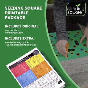 Seeding Square Planting Guides - Garden organizer PDFs for spacing seeds  (Vegetables, Herbs, Instructions and Companion Planting Guide)