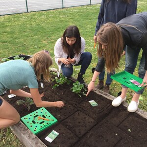 May include: A group of people planting seedlings in a raised garden bed. They are using green planting tools and seed packets. The garden bed is filled with dark soil and surrounded by grass.
