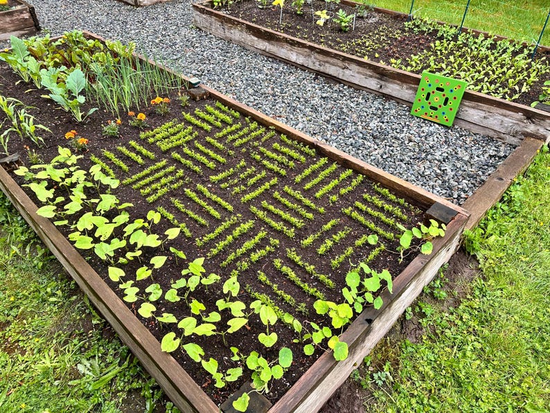 May include: Raised garden beds filled with various crops. One bed features a herringbone pattern of young plants. Other beds contain leafy greens, onions, and flowers. A green square game board sits on the gravel path between the beds.