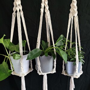 May include: Three macrame plant hangers with wooden rings, each holding a potted plant. The hangers are made of white cotton cord and have a simple, minimalist design.