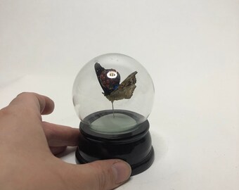Butterfly Shaped Glitter Globe Picture Frame 3.5 Inches