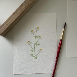 Pintura de acuarela original pintada a mano, ilustración floral, decoración del hogar, decoración infantil, arte de pared, regalo hecho a mano, 5 x 7 pulgadas, sin marco