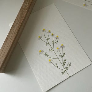 オリジナルの手描きの花のイラスト、ペンとインクのオリジナル絵画、花柄のホームデコレーション、保育園の装飾、壁アート、ギフト、5 x 7インチ、フレームなし