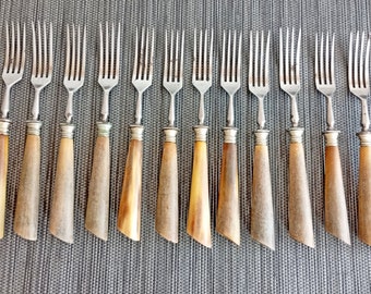 Set of twelve old dinner forks with bone handle, antique dinner forks, made in Germany.