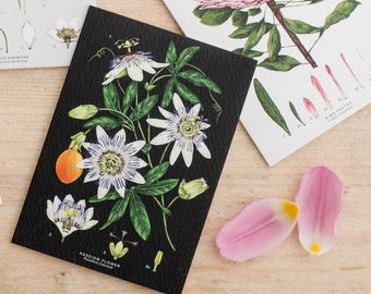 Botanical Greeting Card - Passion Flower - Black - Blank Floral Card