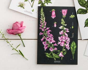 Botanical Greeting Card - Foxglove - Blank Floral Card