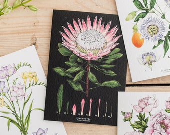 Botanical Greeting Card - King Protea - Black - Blank Floral Card