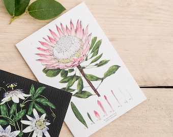 Botanical Greeting Card - King Protea White - Blank Floral Card