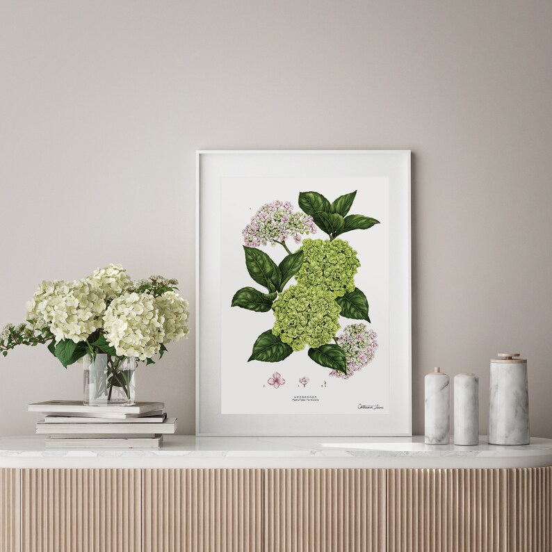 Art Print Botanical Hydrangea White Floral Wall Art image 1