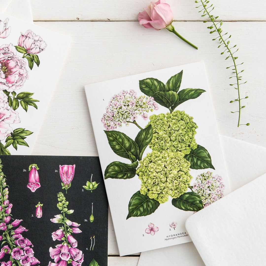 Botanical Greeting Card Hydrangea Blank Floral Card - Etsy