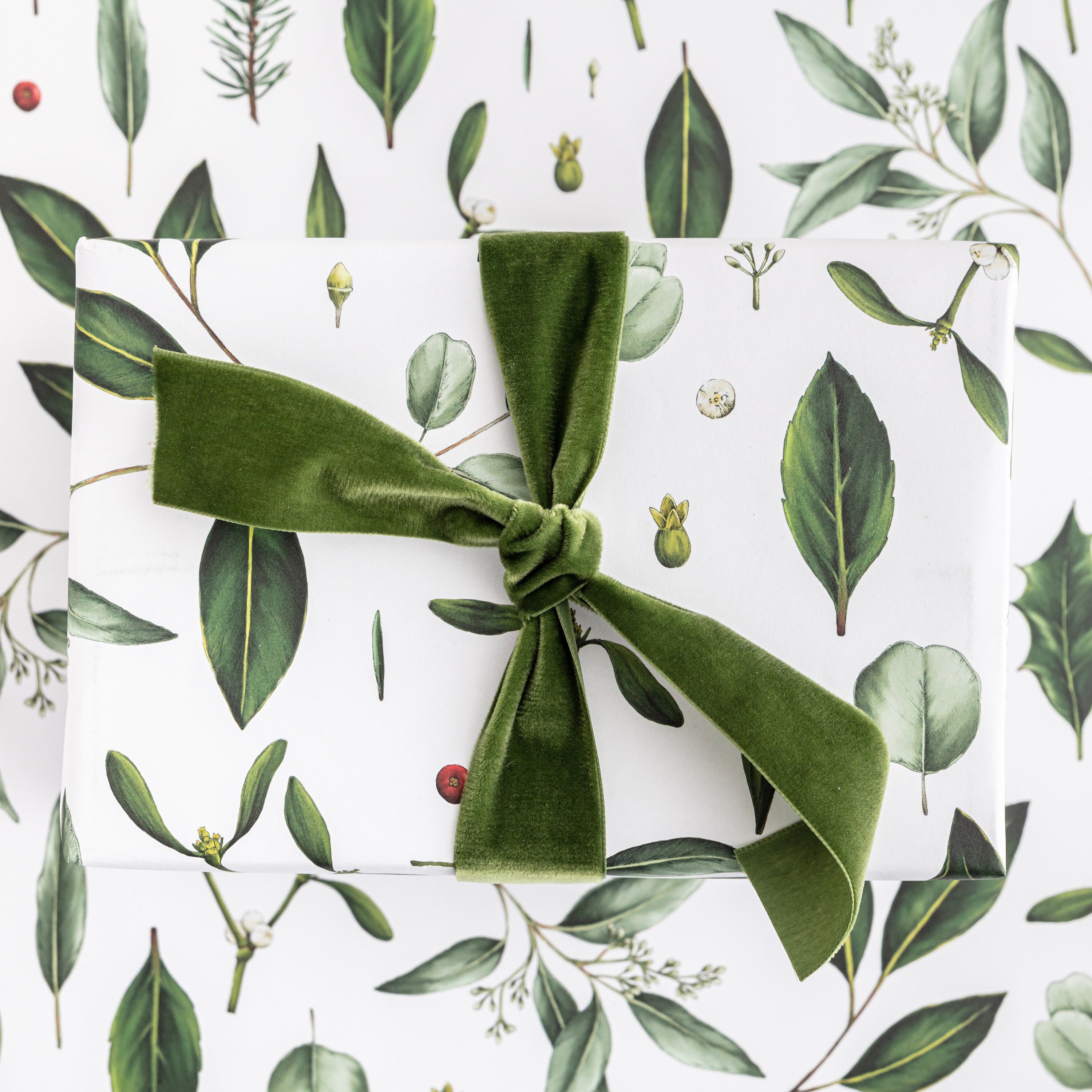 Botanical Sage Green Wrapping Paper Fern Floral Moth Nature Boho