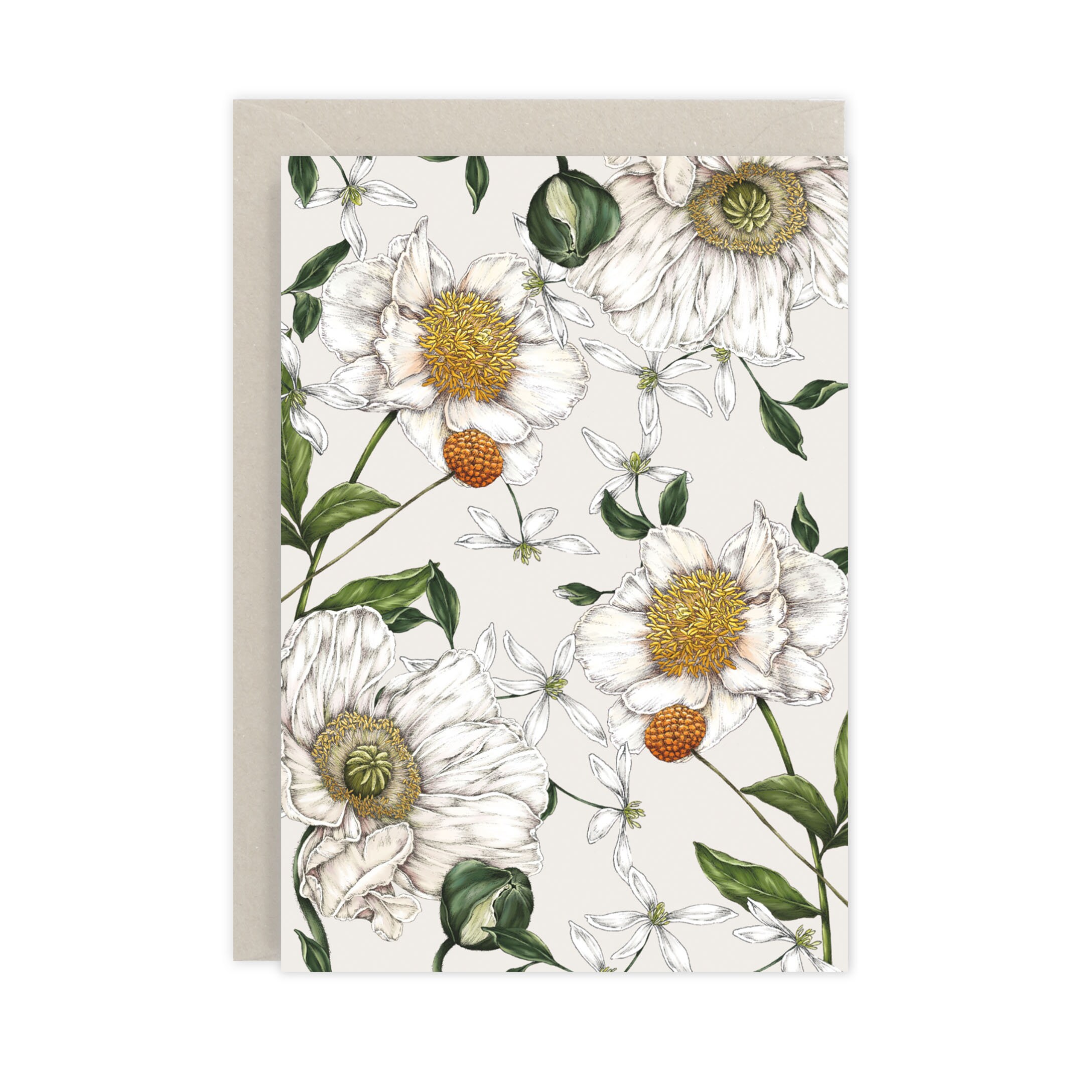 Spring Blossom Grey Botanical Greeting Card 'spring 