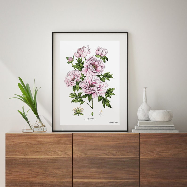 Art Print Botanical Tree Peony Floral Wall Art image 1