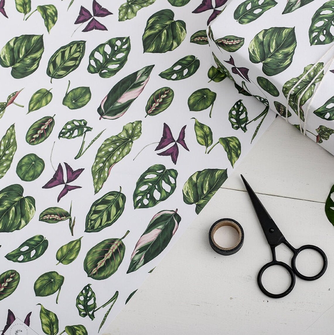 Botanical Wrapping Paper Recycled Gift Wrap Houseplants Etsy