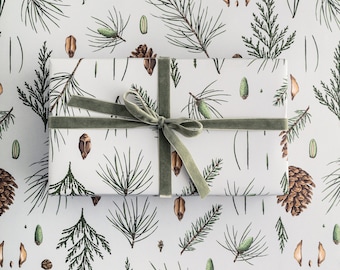 May include: A wrapped gift with a white background featuring a botanical pattern of green pine needles, cones, and seeds. The gift is tied with a sage green velvet ribbon, creating a natural and elegant presentation.