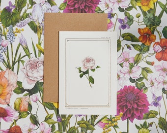 Greeting Card - The Botanist Archive - Rose Card