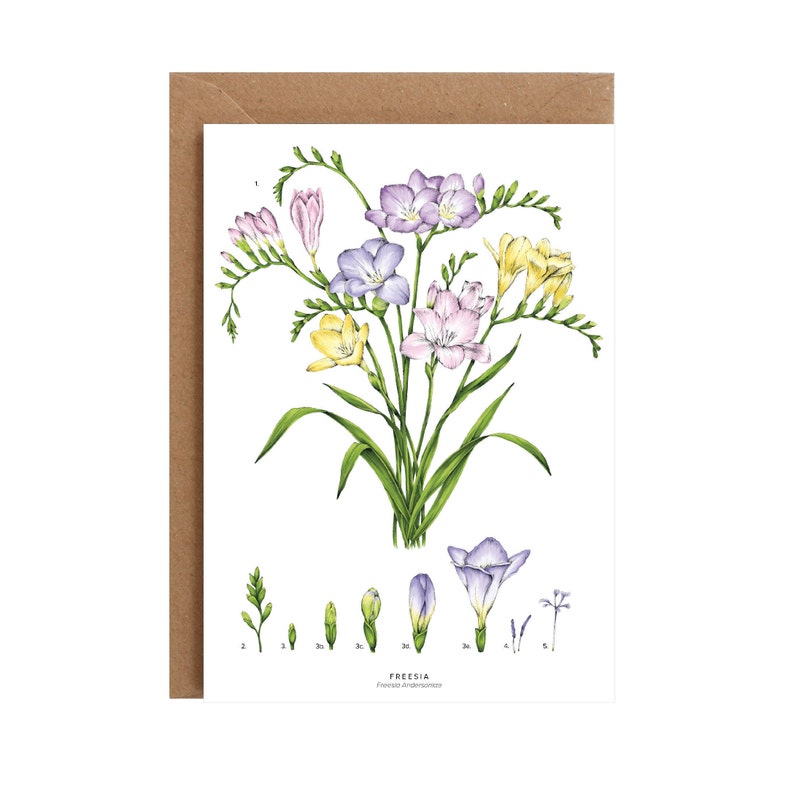 Botanical Greeting Card Freesia Blank Floral Card image 2