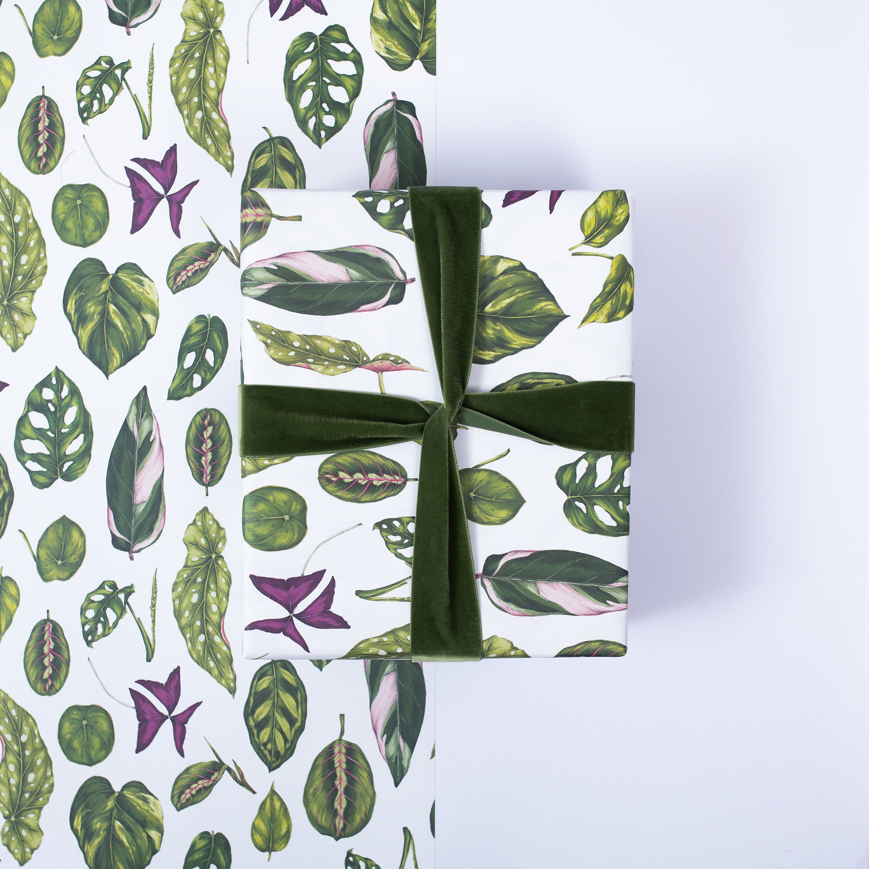 Botanical Wrapping Paper Recycled Gift Wrap Houseplants Etsy UK