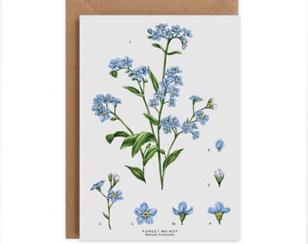 Botanical Greeting Card - Forget Me Not - Blank Floral Card