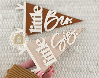 Little Bro Little Sis Pennant Sign | Mini Baby Name Sign | Name Announcement | Pennant Flag Sign | Fresh 48 Sign | Sibling Announcement