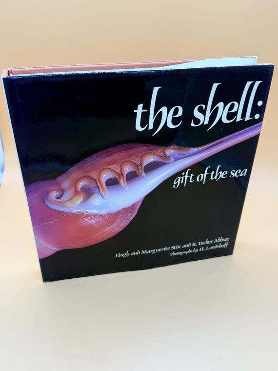 The Shell Gift of the Sea 1984 Abrama Publishing Natural history books Seashells Oceanography