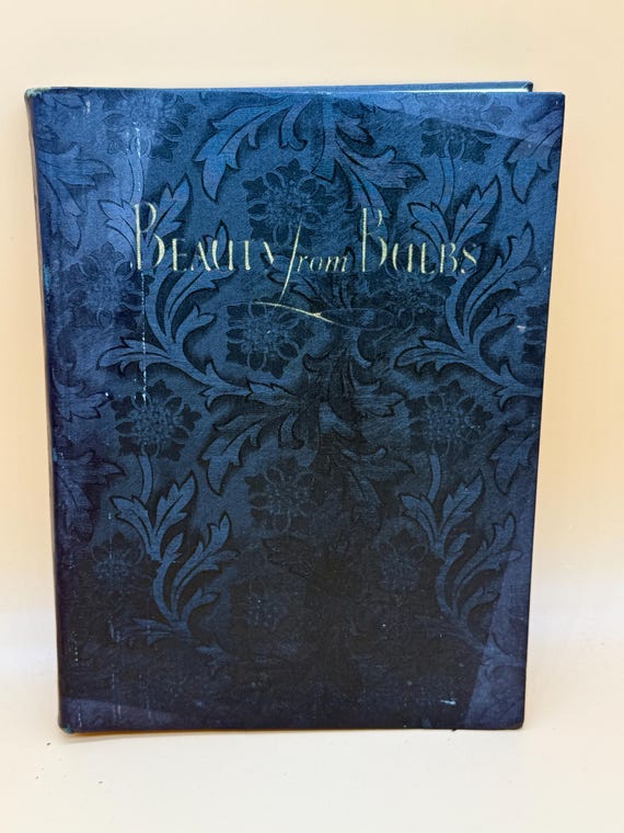 Beauty in Bulbs A Treatise on Leading Varieties of Bulbs Suitable For Outdoor  Indoor Culture for American Gardens 1929 Scheepers Publishing