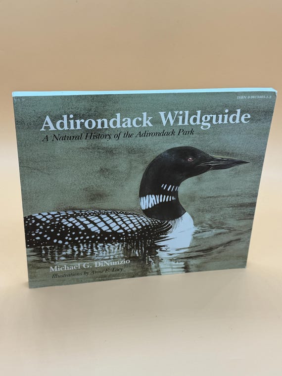 Adirondack Wildguide A Natural History of the Adirondack Park 1984 Adirondack Nature Conservancy Wildlife books