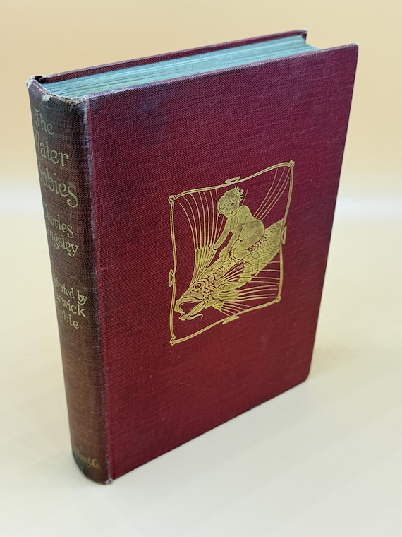 The Water Babies by Charles Kingsley Illustrator Warwick Goble 1927 MacMillan Publishing Rare Books Childrens storybooks Collectible books