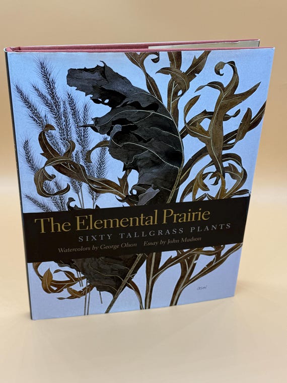 The Elemental Prairie Sixty Tallgrass Plants Watercolors George Olson INSCRIBED copy  2005 University of Iowa Press Nature Botany Books