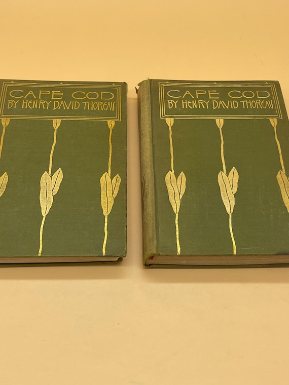 Cape Cod by Henry David Thoreau 1899 Houghton Mifflin Publishing Riverside Press 2 volumes Maine Book Gifts Naturalist Books Nature Books