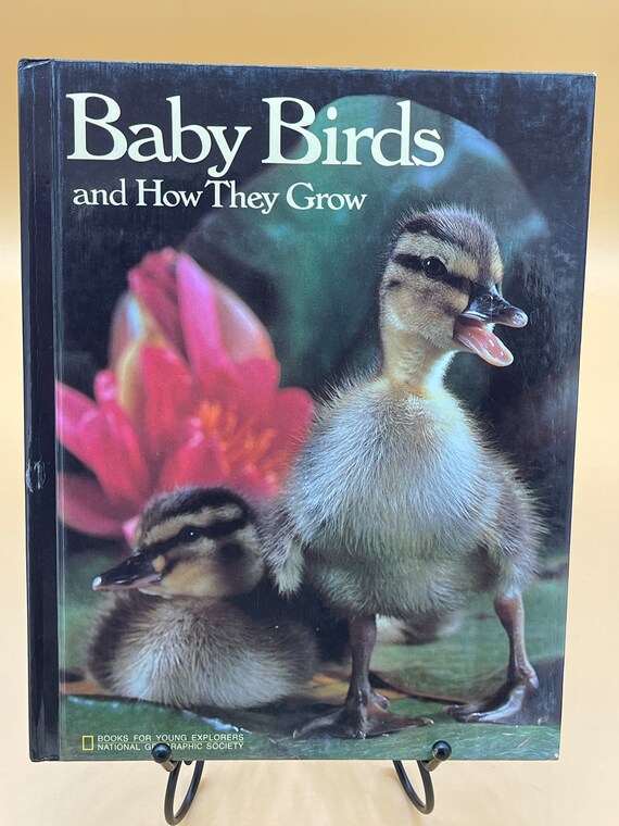 Books for Young Explorers Baby Birds and How They Grow by National Geographic 1987 hardcover Childrens Books for kids gift animal bird books