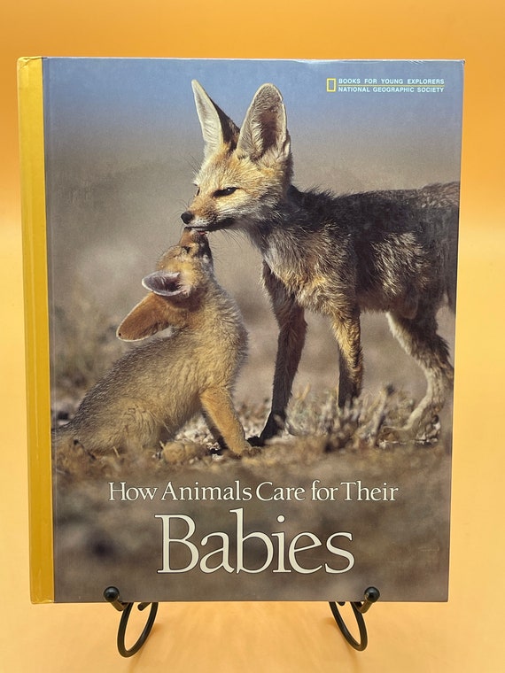 Books for Young Explorers How Animals Care for Their Babies 1987 National Geographic Childrens Books Gifts for Children Animal Books