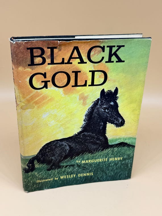 Black Gold by Marguerite Henry 1957 First Edition Rand McNally Publishing Childrens Literature Horse Stories for children