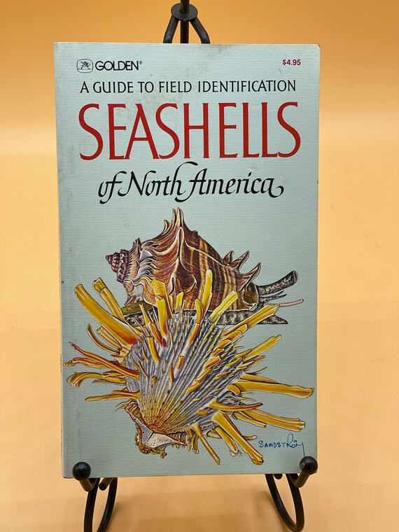 Seashell Books Seashells of North America a Guide to Identification vintage books nature book gifts seashell history books used books