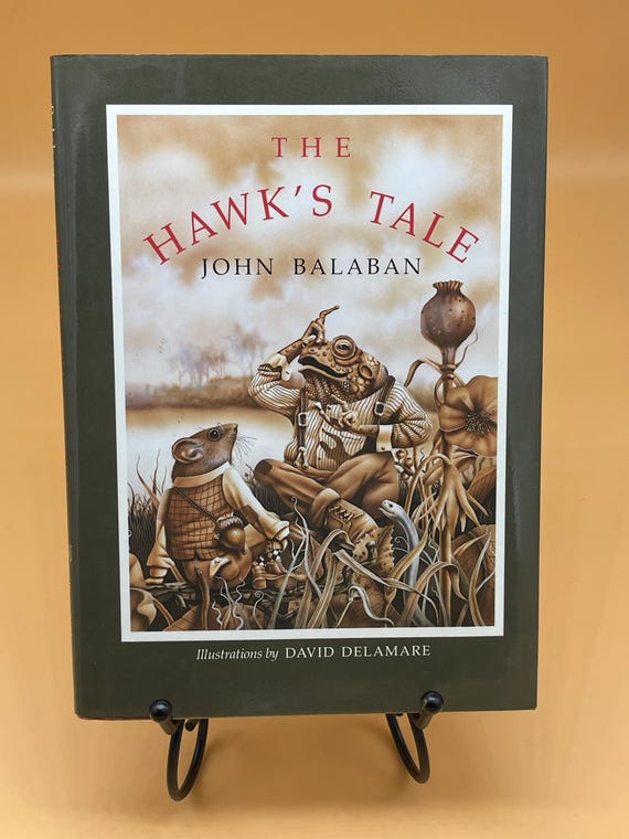 The Hawk's Tale by John Balaban Illustrator David Delamare 1988 Harcourt Brace Publishing Childrens Books Animal stories Gift books for kids