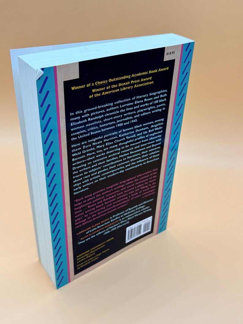 Harlem Renaissance and Beyond Literary Biographies of 100 Black Women Writers 1900-1945 Black history month immagine 9