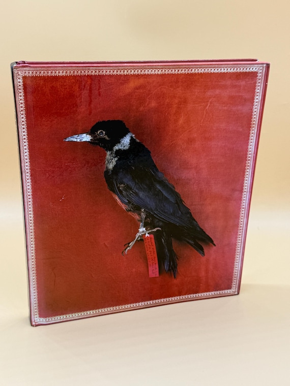 The Rarest of the Rare Stories Behind the Treasures at the Harvard Museum of Natural History 2004 Harper Collins  Natural history books