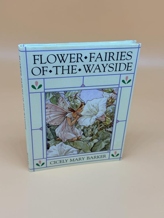 Flower Fairies of the Wayside by Cicely Mary Barker Fairy artwork art books