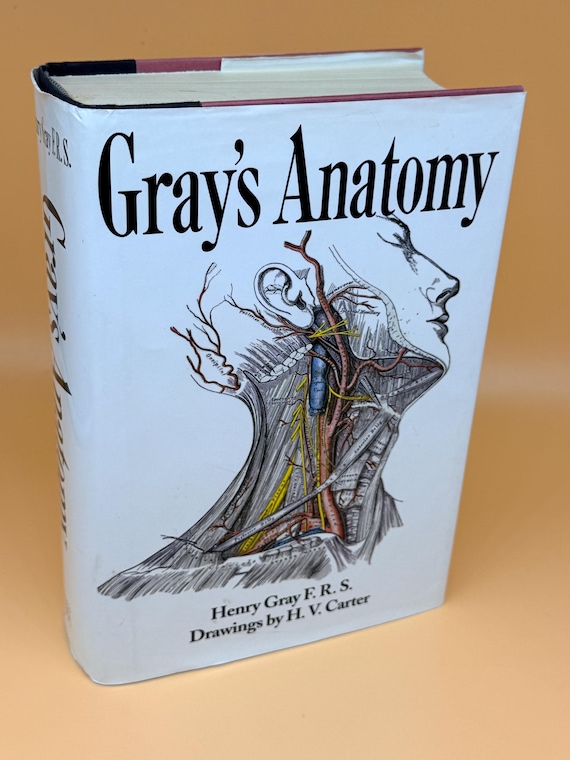 Gray's Anatomy 1995 B&N books 15th Edition Facsimile of 1901 Edition Science Medical books