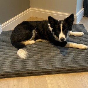 May include: A black and white border collie dog laying on a gray corduroy dog bed. The bed has a thick, padded cushion and is striped with raised ridges.