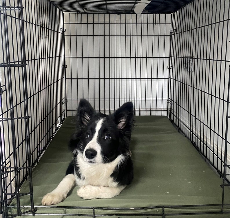 Waterproof Dog Mat for Cage / Car / Kennel Dog Bed green Etsy UK