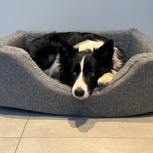 May include: A black and white border collie dog lying in a grey dog bed with a fluffy white lining.