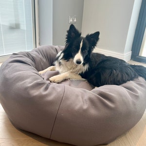 May include: A black and white border collie dog relaxing in a grey dog bed. The dog bed is round and has a raised edge.