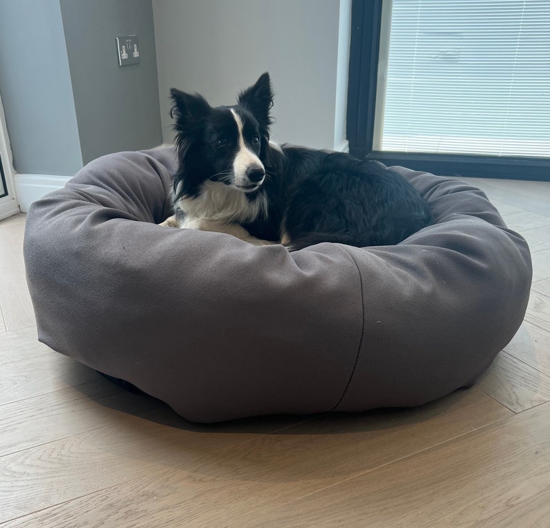May include: A black and white border collie dog relaxing in a grey dog bed. The bed is round and has a soft, plush fabric.