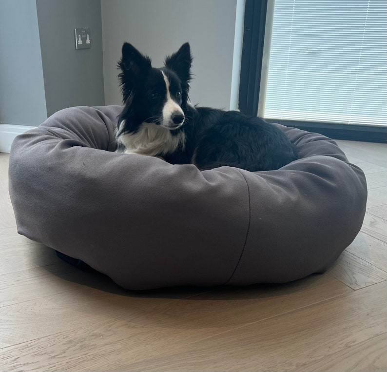May include: A black and white border collie dog relaxing in a grey dog bed. The bed is round and has a soft, plush fabric.