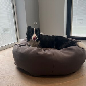 May include: A black and white border collie dog lying in a grey dog bed. The dog is looking at the camera and has its tongue sticking out.