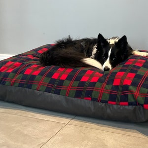 May include: A black and white border collie dog lying on a red, green and black tartan dog bed.