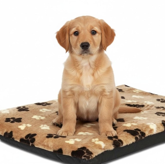 cloud7 hundemantel Cloud7 Hundemantel Brooklyn Long Tweed Black. Gratis Versand!